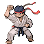 Black belt